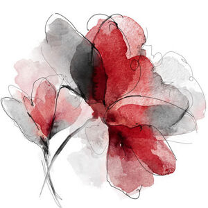 Monee OLEJOMALBA, květiny, 85/85 cm - červená, černá, bílá