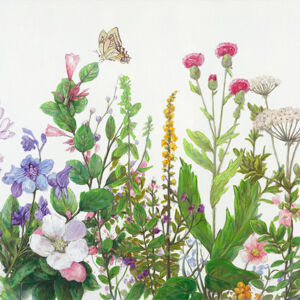 Monee OLEJOMALBA, květiny, 30/30 cm - zelená, fialová, bílá, světle červená, béžová