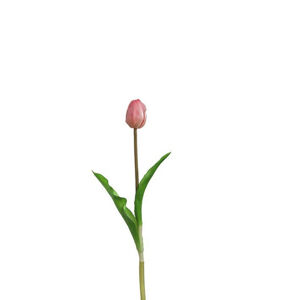 Leonardo UMĚLÁ KVĚTINA tulipán - pink