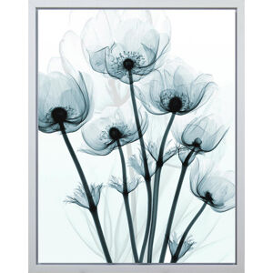 Monee UMĚLECKÝ TISK, květiny, 40/50 cm - modrá, bílá