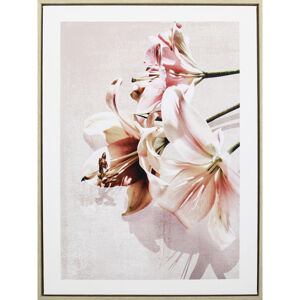 Monee TIŠTĚNÉ OBRAZY NA PLÁTNĚ, květiny, 45/60 cm