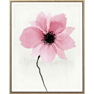 Monee TIŠTĚNÉ OBRAZY NA PLÁTNĚ, květiny, 40/50 cm